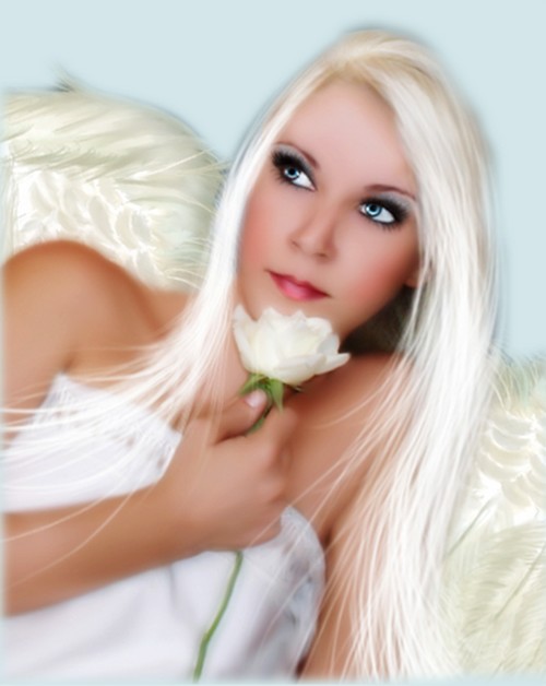 Image hébergée par Casimages.com : votre hébergeur d images simple et gratuit