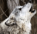Image hébergée par Casimages.com : votre hébergeur d images simple et gratuit