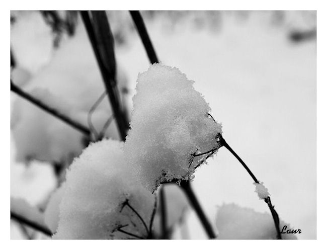 Image hébergée par Casimages.com : votre hébergeur d images simple et gratuit