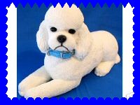 Image h�berg�e par Casimages.com : votre h�bergeur d images simple et gratuit