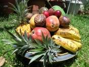 Hebergement gratuit d image et photo