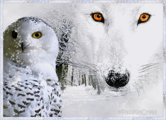 Image hébergée par Casimages.com : votre hébergeur d images simple et gratuit