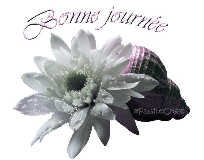Image hébergée par Casimages.com : votre hébergeur d images simple et gratuit