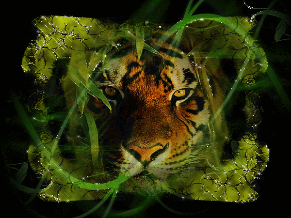 Image hébergée par Casimages.com : votre hébergeur d images simple et gratuit