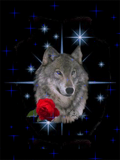 Image hébergée par Casimages.com : votre hébergeur d images simple et gratuit