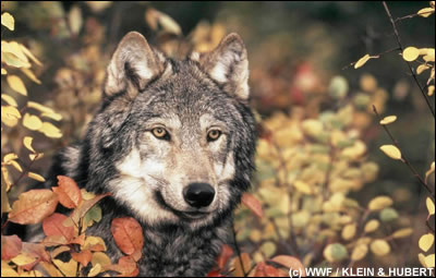 Image hébergée par Casimages.com : votre hébergeur d images simple et gratuit