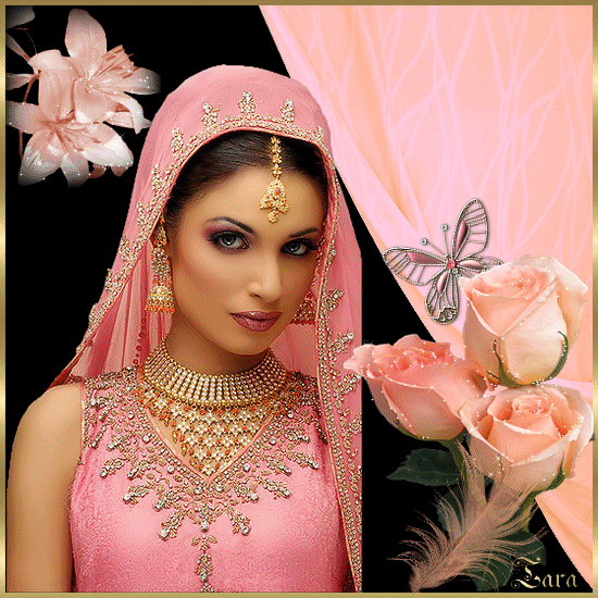 Image hébergée par Casimages.com : votre hébergeur d images simple et gratuit
