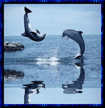 Image hébergée par Casimages.com : votre hébergeur d images simple et gratuit