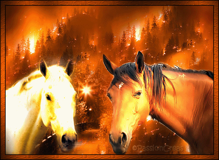 Image hébergée par Casimages.com : votre hébergeur d images simple et gratuit