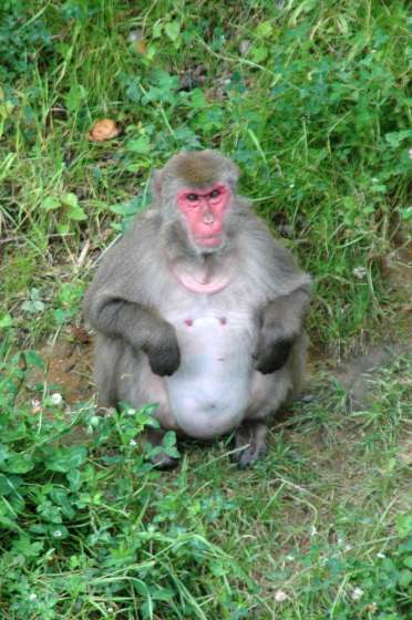< inclued picture >