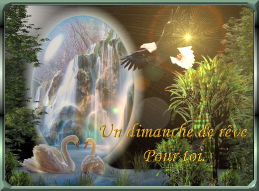 voir l'image en taille réelle