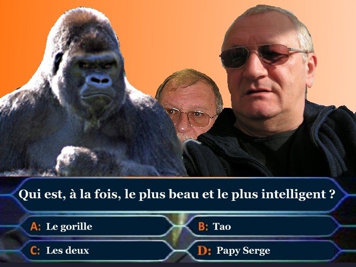 http://nsm01.casimages.com/img/2009/02/10/090210034858508193132454.jpg