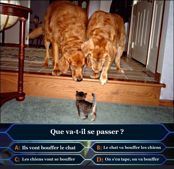 http://nsm01.casimages.com/img/2009/02/10/090210034912508193132455.jpg
