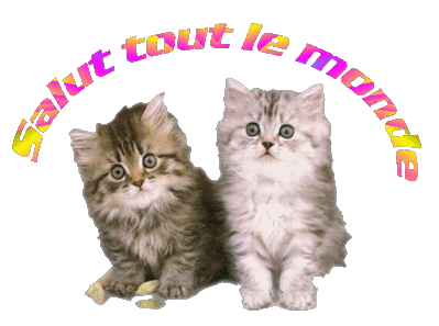 Image hébergée par Casimages.com : votre hébergeur d images simple et gratuit