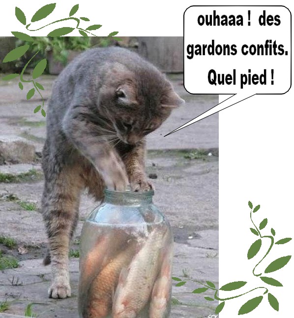 Image hébergée par Casimages.com : votre hébergeur d images simple et gratuit