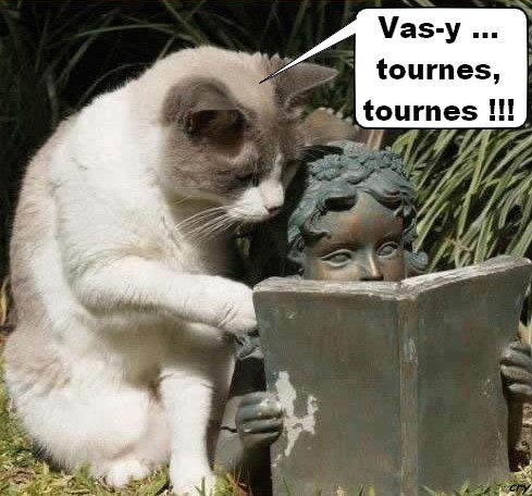 Image hébergée par Casimages.com : votre hébergeur d images simple et gratuit