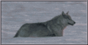 Image hébergée par Casimages.com : votre hébergeur d images simple et gratuit