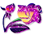 Image hébergée par Casimages.com : votre hébergeur d images simple et gratuit
