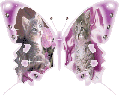 Image h�berg�e par Casimages.com : votre h�bergeur d images simple et gratuit
