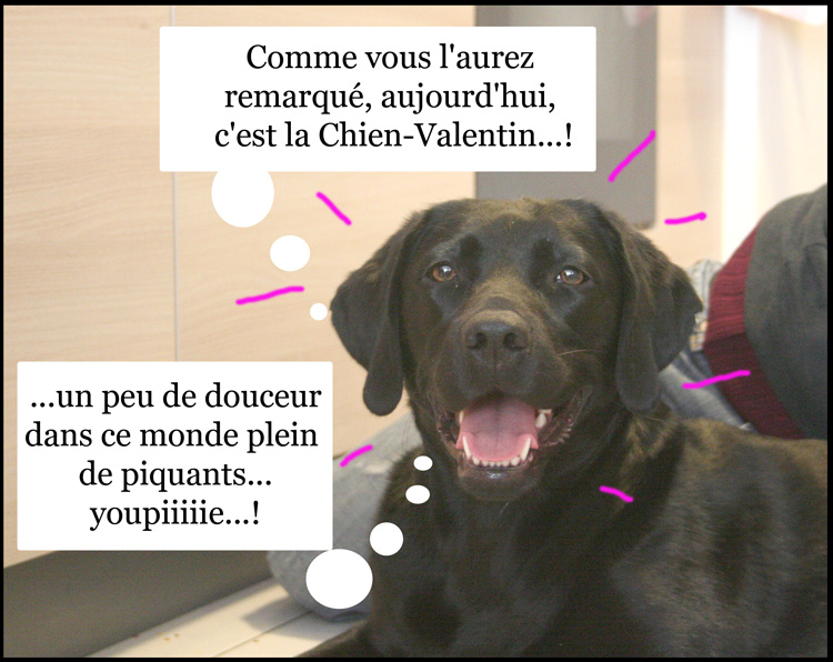 Image h�berg�e par Casimages.com : votre h�bergeur d images simple et gratuit