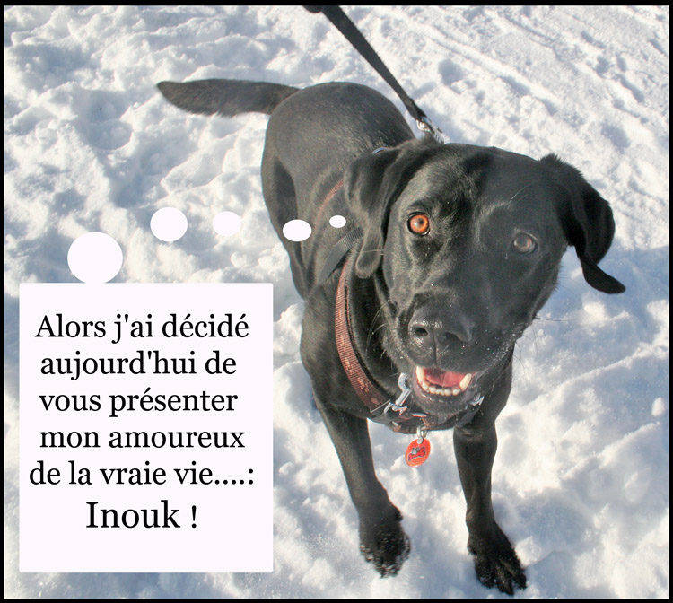 Image h�berg�e par Casimages.com : votre h�bergeur d images simple et gratuit