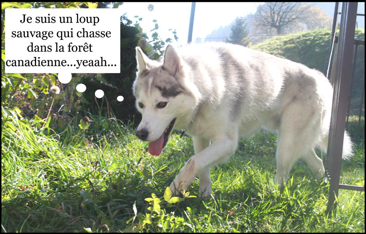 Image h�berg�e par Casimages.com : votre h�bergeur d images simple et gratuit