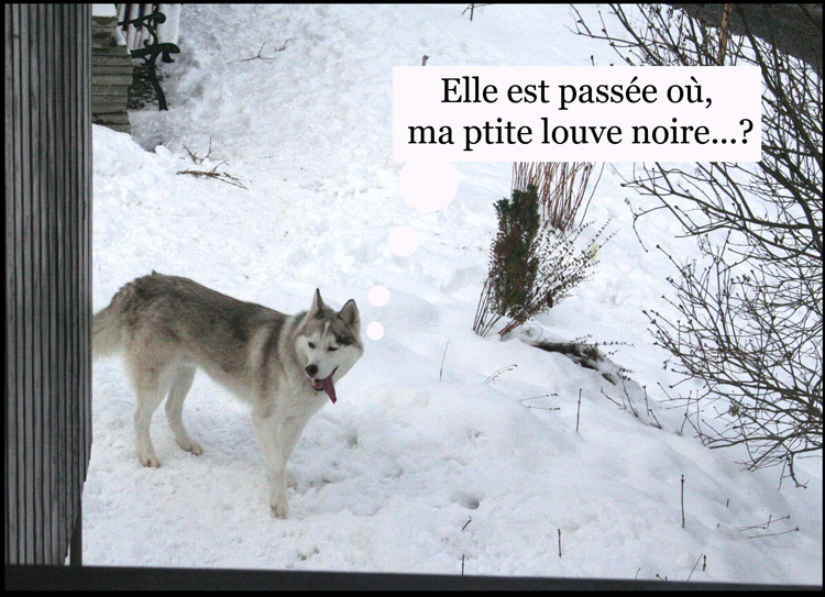 Image h�berg�e par Casimages.com : votre h�bergeur d images simple et gratuit