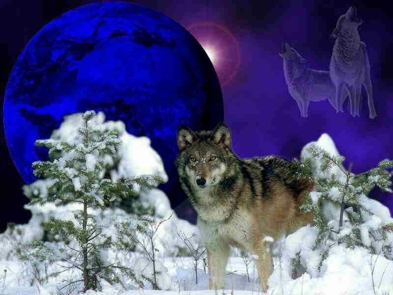 Image hébergée par Casimages.com : votre hébergeur d images simple et gratuit
