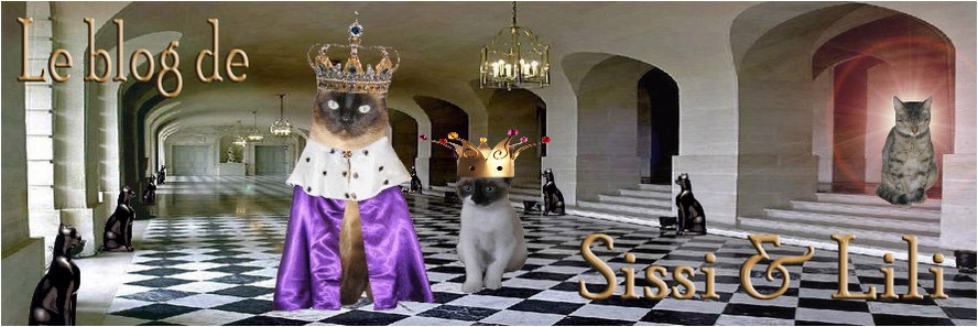 Image hébergée par Casimages.com : votre hébergeur d images simple et gratuit
