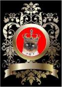 Hebergement gratuit d image et photo