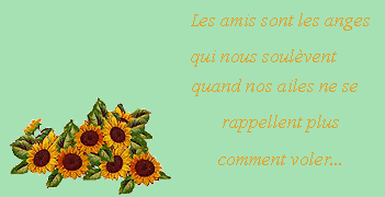 Image h�berg�e par Casimages.com : votre h�bergeur d images simple et gratuit