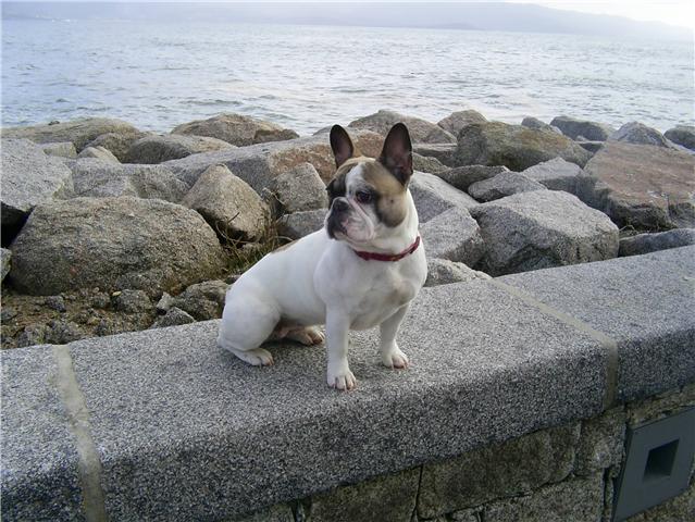 Image hébergée par Casimages.com : votre hébergeur d images simple et gratuit