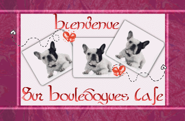 Qui est en ligne ?