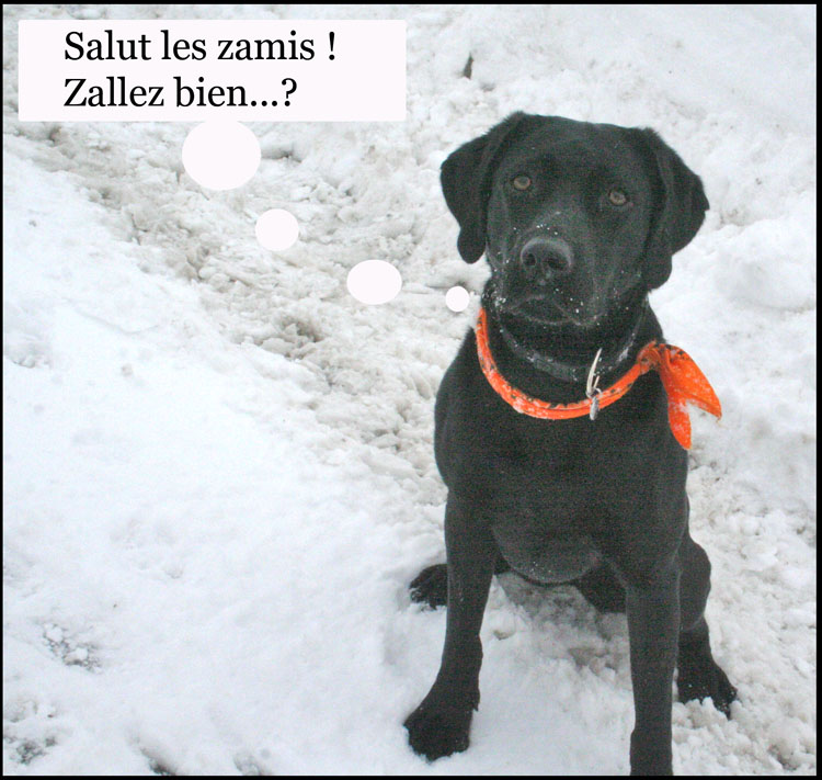 Image h�berg�e par Casimages.com : votre h�bergeur d images simple et gratuit