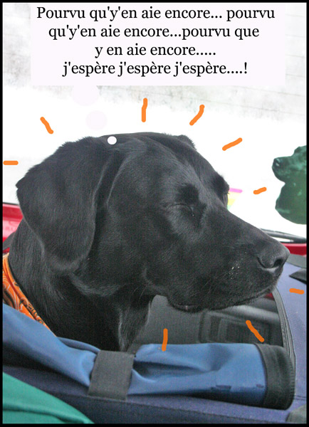 Image h�berg�e par Casimages.com : votre h�bergeur d images simple et gratuit