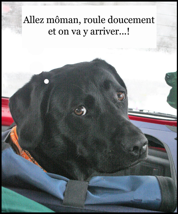 Image h�berg�e par Casimages.com : votre h�bergeur d images simple et gratuit