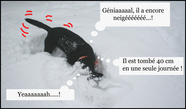 Image h�berg�e par Casimages.com : votre h�bergeur d images simple et gratuit