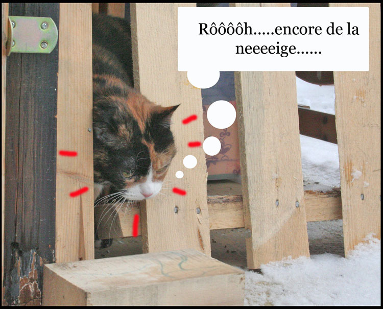 Image h�berg�e par Casimages.com : votre h�bergeur d images simple et gratuit