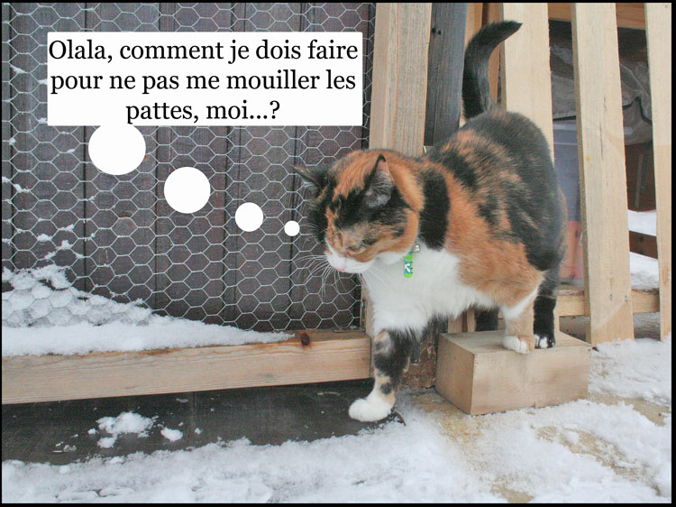 Image h�berg�e par Casimages.com : votre h�bergeur d images simple et gratuit