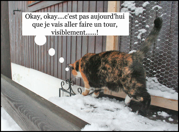 Image h�berg�e par Casimages.com : votre h�bergeur d images simple et gratuit