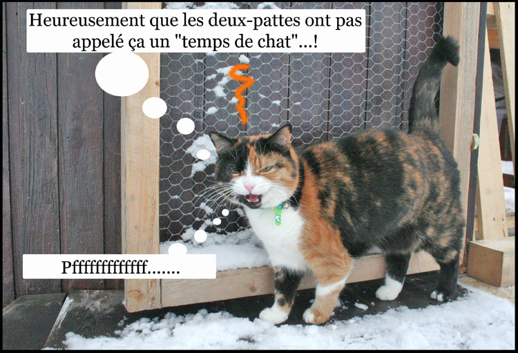 Image h�berg�e par Casimages.com : votre h�bergeur d images simple et gratuit