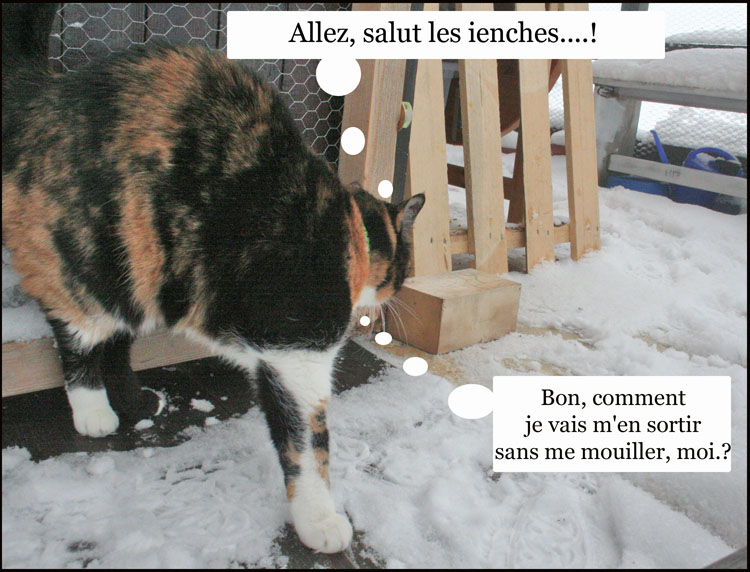 Image h�berg�e par Casimages.com : votre h�bergeur d images simple et gratuit