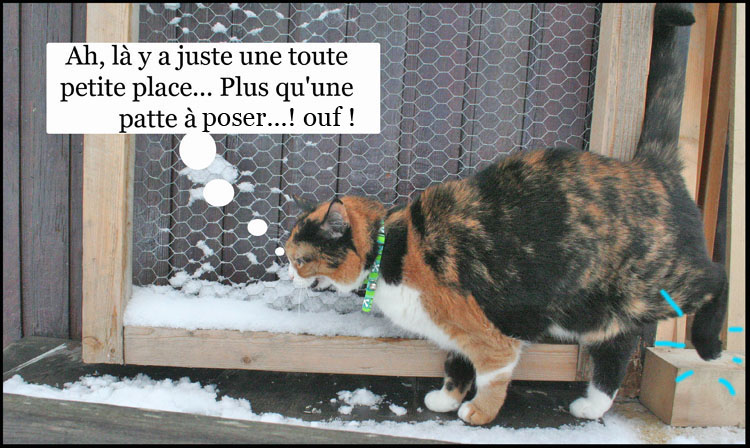 Image h�berg�e par Casimages.com : votre h�bergeur d images simple et gratuit
