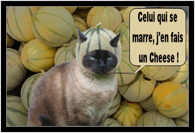 Image hébergée par Casimages.com : votre hébergeur d images simple et gratuit