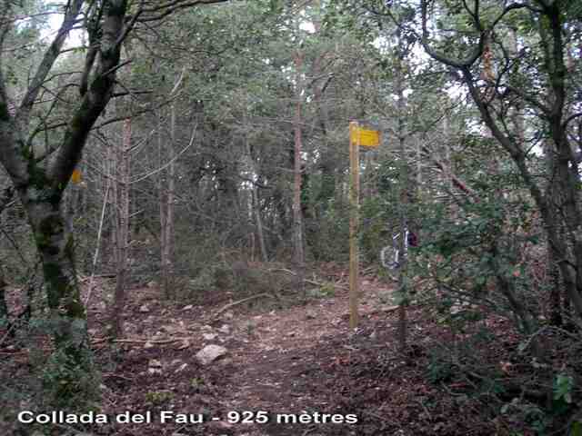 Agrandir l'image Collada del Fau - ES-GI-0925b