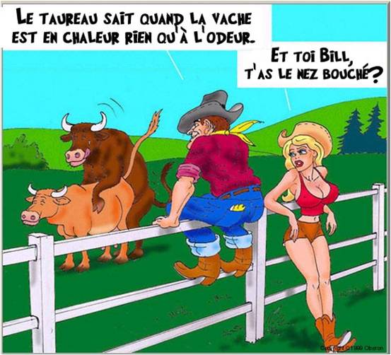 Image hébergée par Casimages.com : votre hébergeur d images simple et gratuit