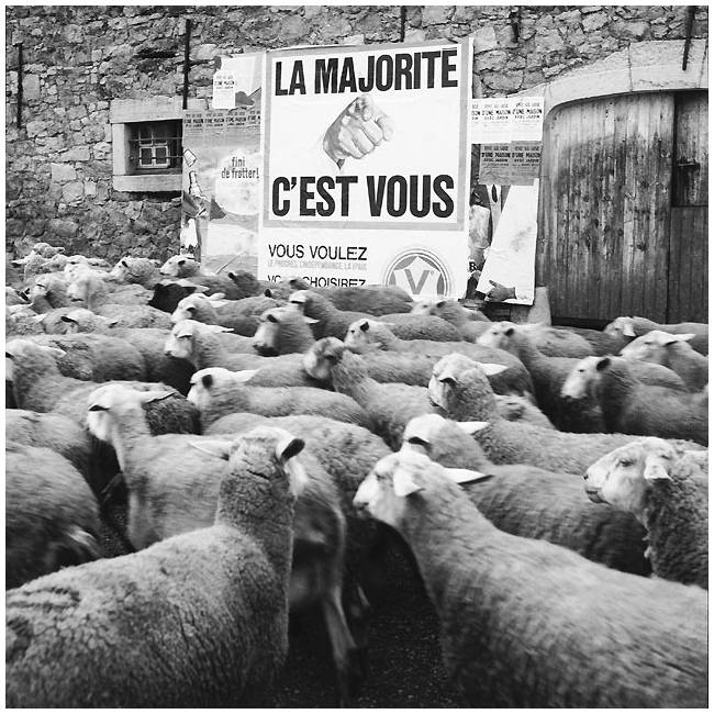 Image hébergée par Casimages.com : votre hébergeur d images simple et gratuit