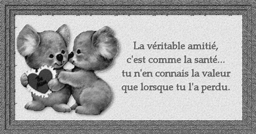 Image hébergée par Casimages.com : votre hébergeur d images simple et gratuit