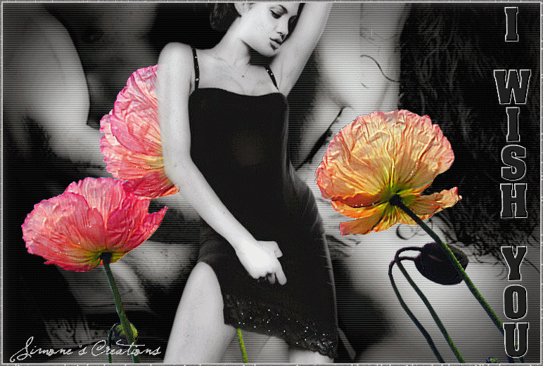 Image hébergée par Casimages.com : votre hébergeur d images simple et gratuit