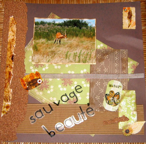 Image hébergée par Casimages.com : votre hébergeur d images simple et gratuit